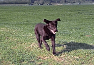 2010