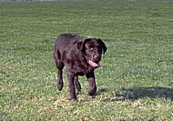 2010