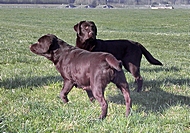 2010