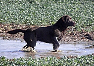 2010