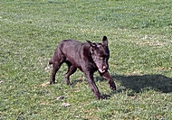 2010