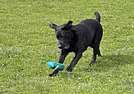 2010