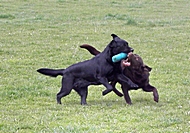 2010