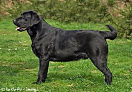 2011