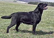 2012