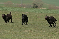 2008