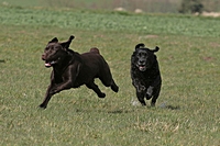 2008