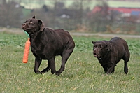2008