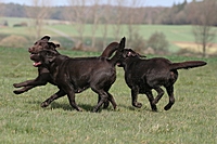 2008