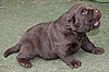 3 Wochen / 3 weeks