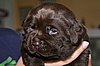 3 Wochen / 3 weeks