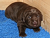 3 Wochen / 3 weeks