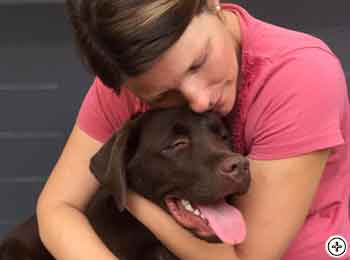 © Scandica Labradors © Scandica Labradors